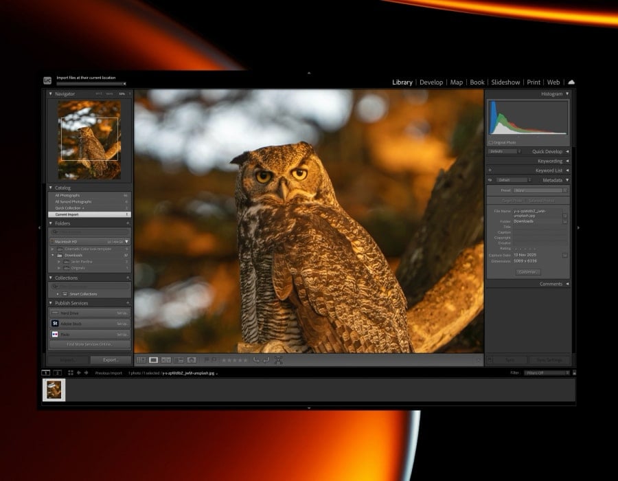 Luminar Neo - Easy Photo Editor | Software for Mac & PC(10)